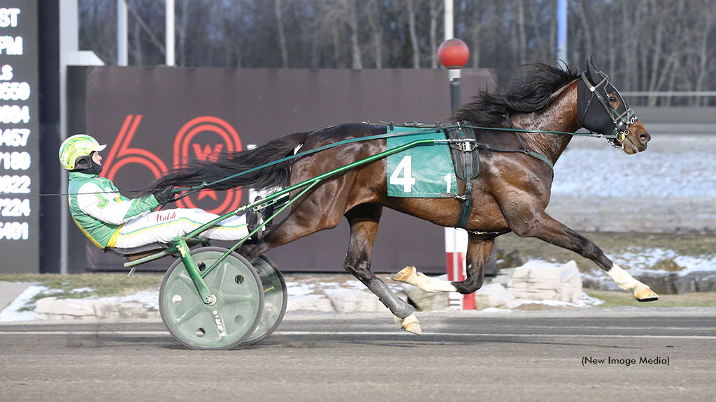 Paquet To Stand Stud In 2026