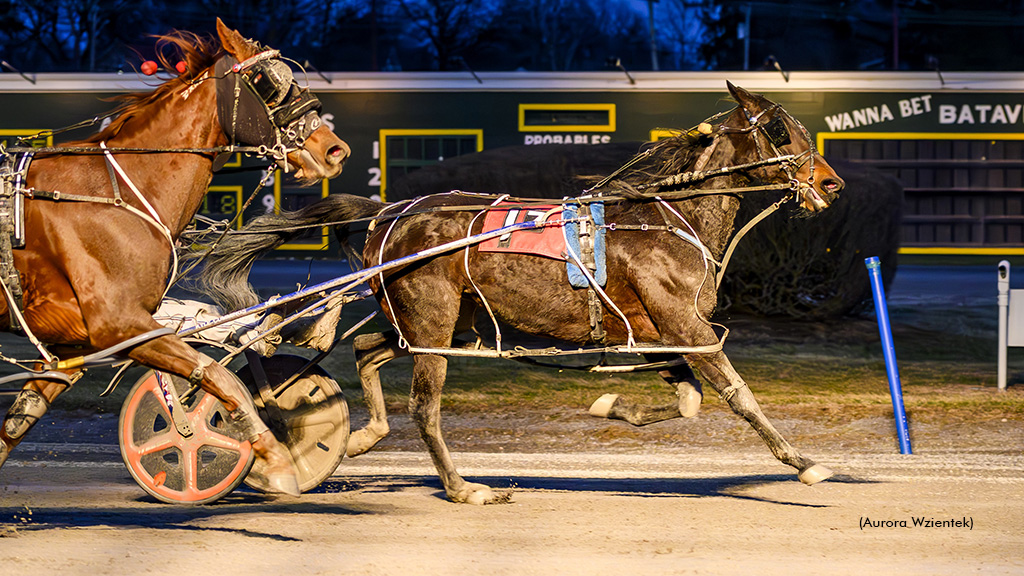 Rocknroll Shelli Pockets Open As Batavia Kicks Off