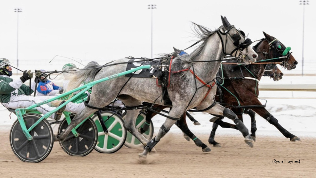 Senga Nightmare Prevails In Century Mile Preferred Thriller