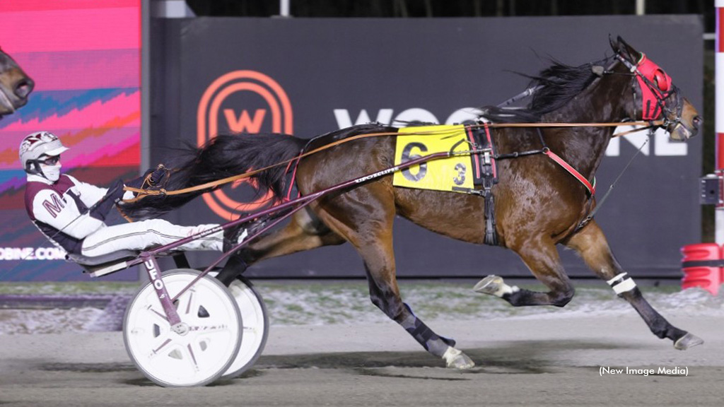 Sid The Kid Wins, Accident In Mohawk Open Trot