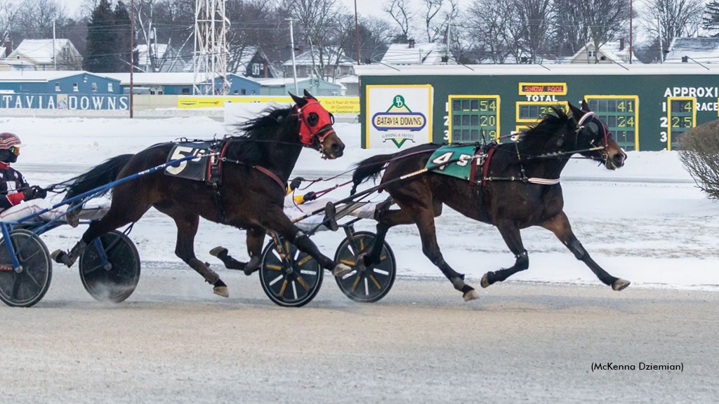 Batavia Opens To Davey Day Trader, Starlitcresentroll