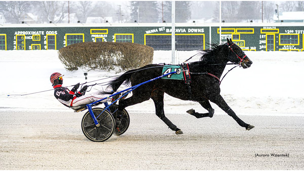 Wild Bill Kelso Tames Trotters In Batavia Feature