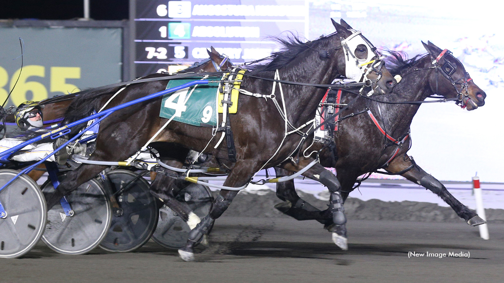 Angostura Hanover Prevails In Open; MacDonald Wins Six