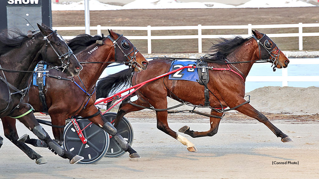 Beelzebub-021626-ConradPhoto-1024px