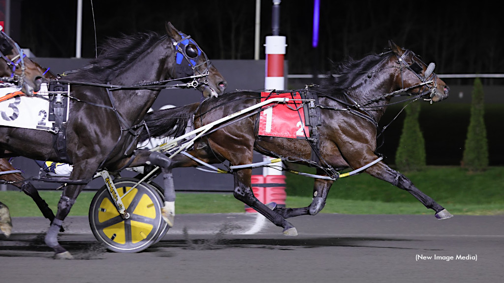 New Barn For Returning And Victorious Bruno No No No