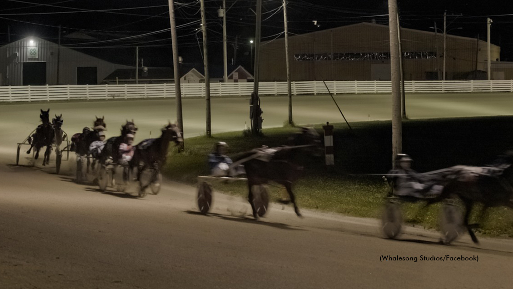Harness racing featured on Creatures