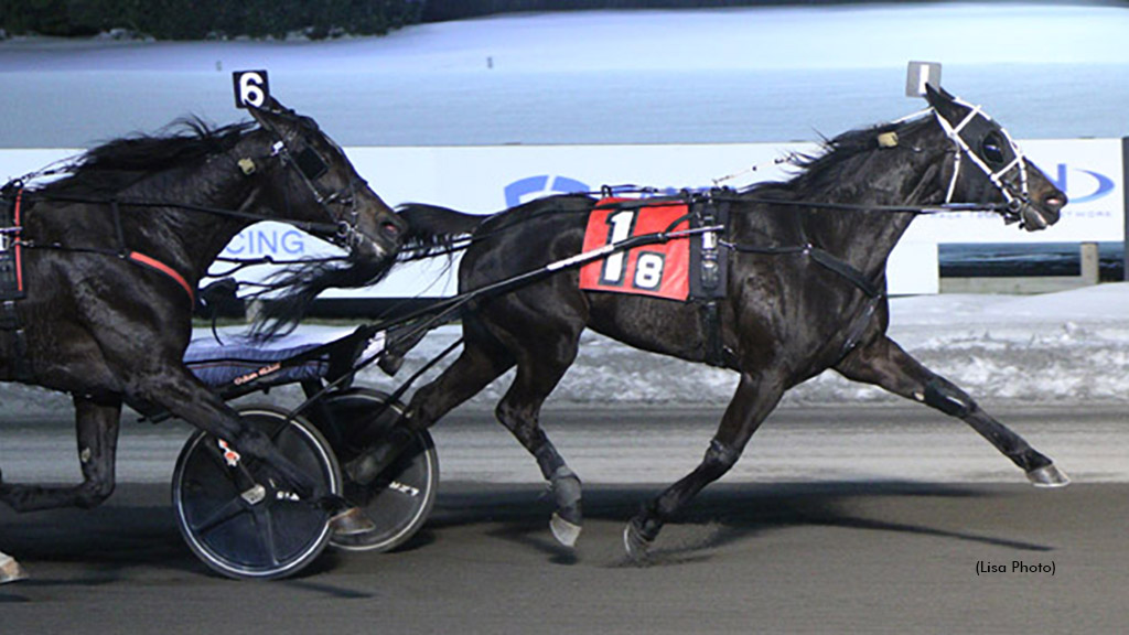 High Speed Swan winning at The Meadowlands