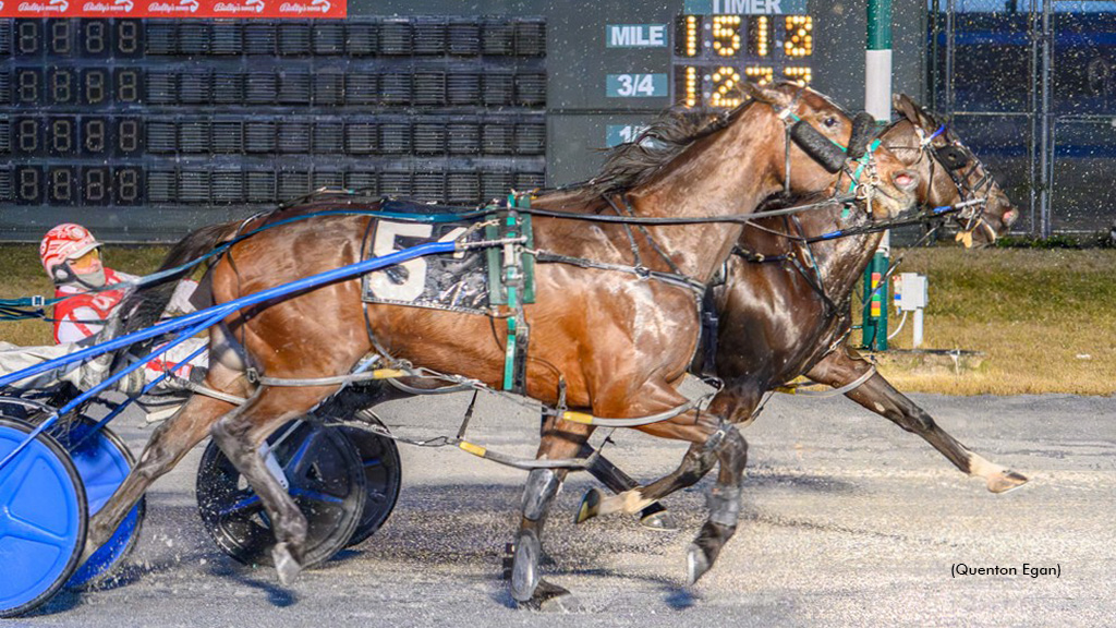 Muskateer Hanover