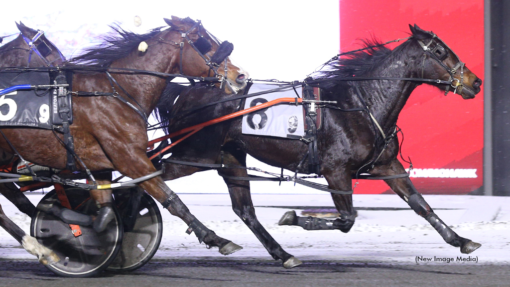 So Much More Flaunts Back Class In Mohawk Feature