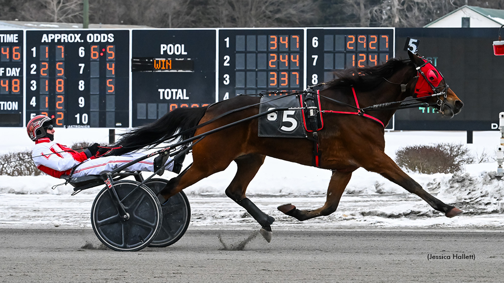 Up Helly Aa winning at Saratoga Raceway