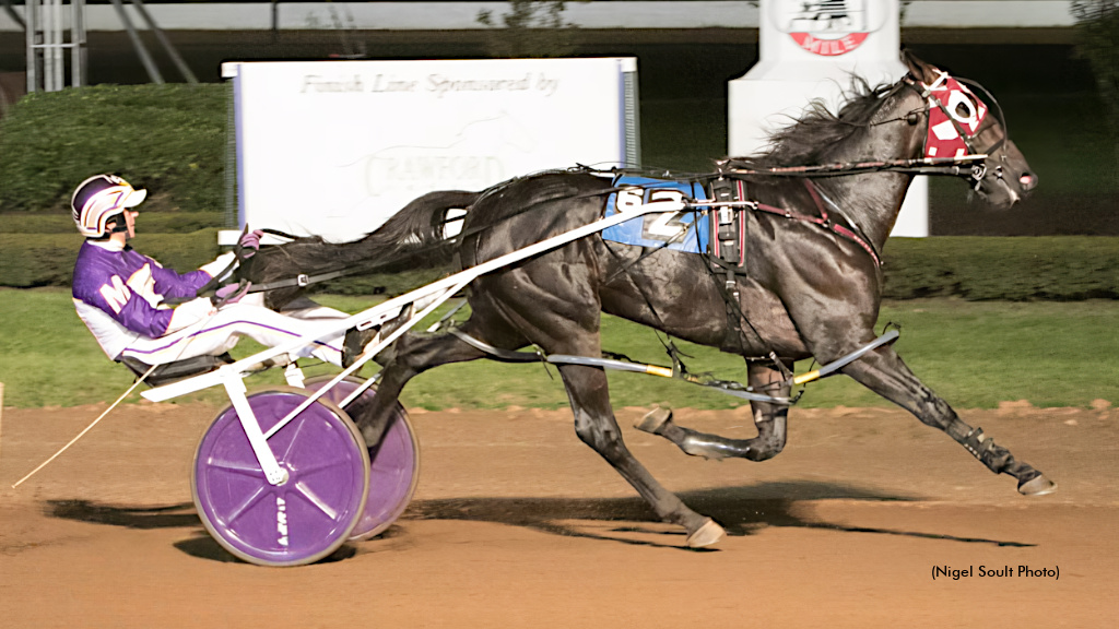 Air Force Hanover To Stand Stud In 2026