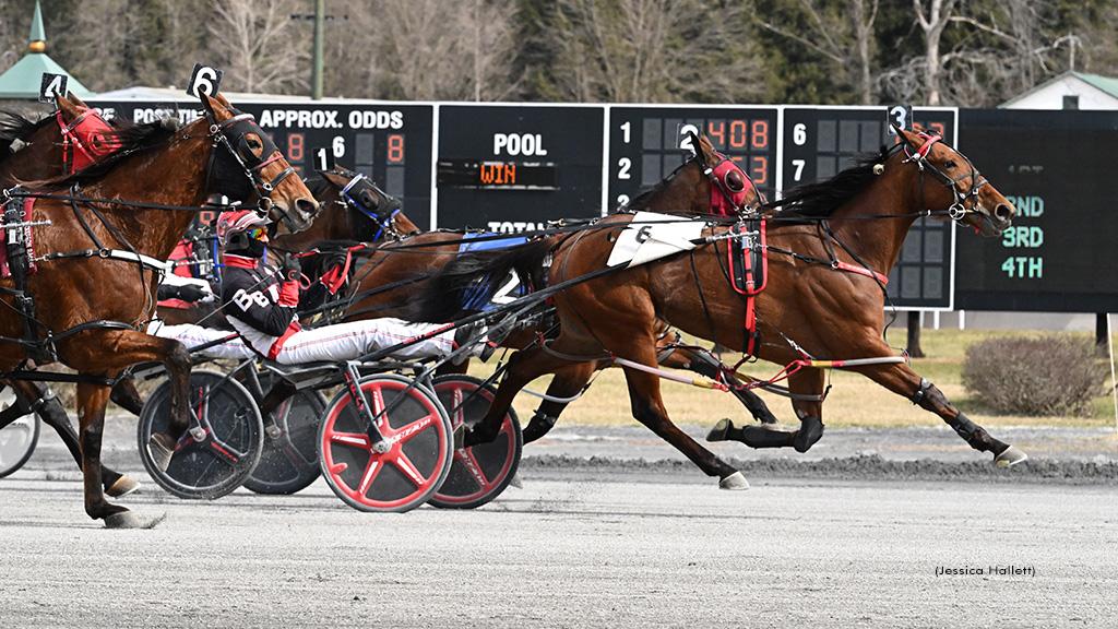 Ambushed-032926-JessicaHallett-1024px