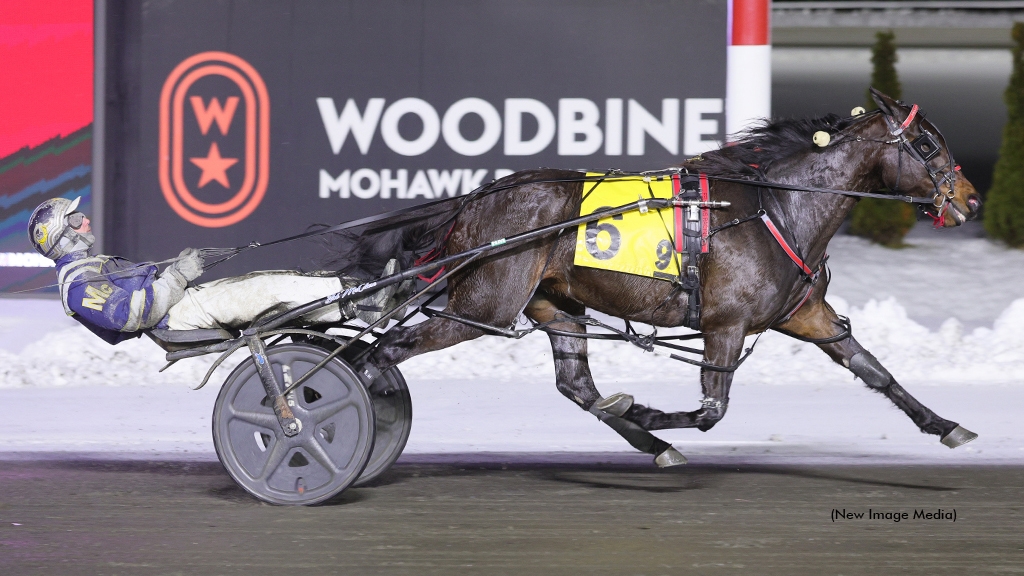 Angostura Hanover winning at Woodbine Mohawk Park