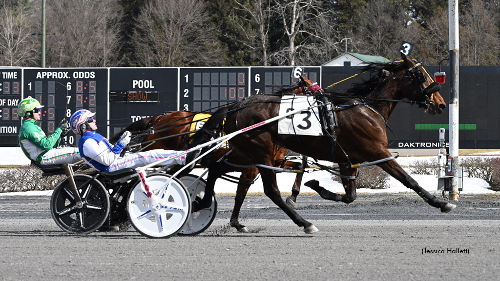 Custard Dolce winning at Saratoga Raceway