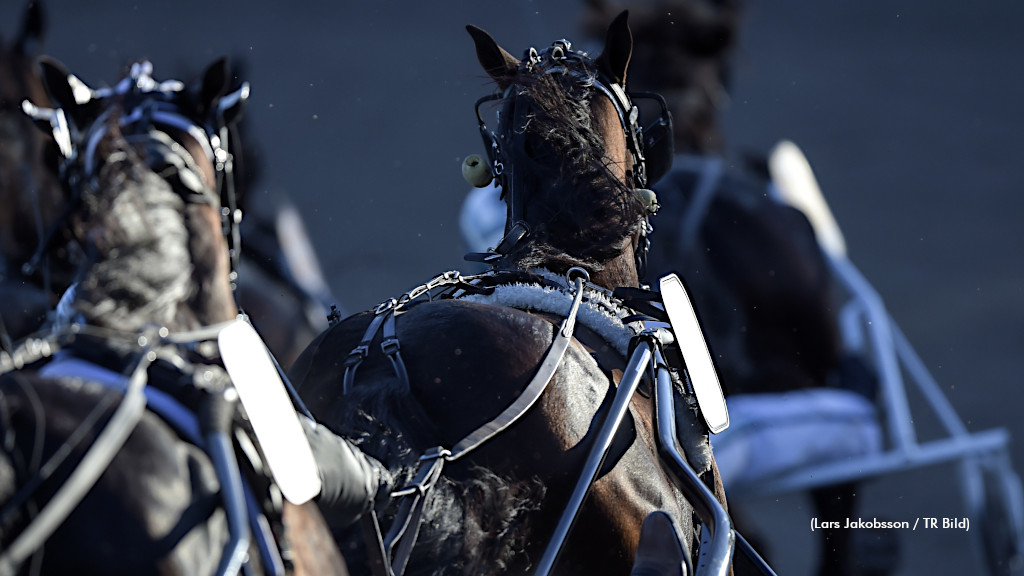 Harness racing in Sweden