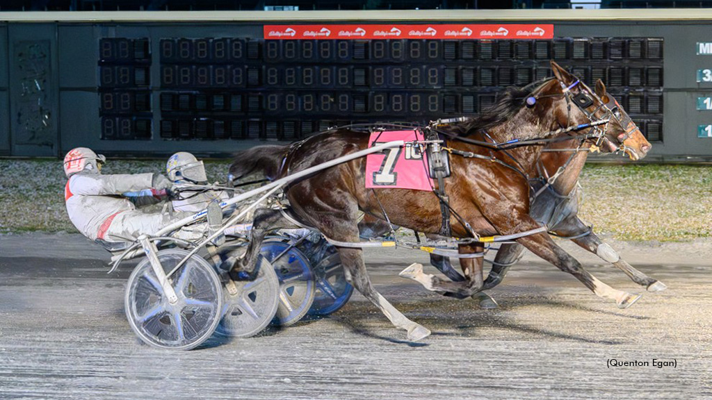 Itsrockandroll A and Muskateer Hanover