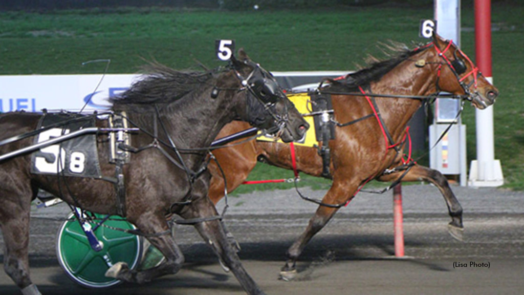 Pick 8 Pays Big At Meadowlands