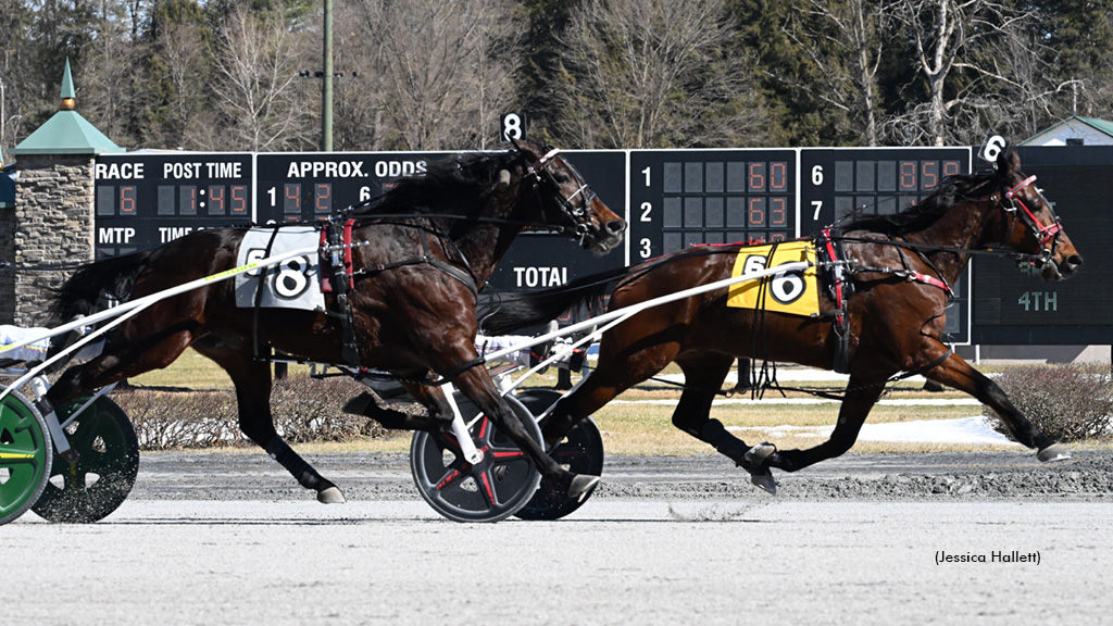 Platinum As winning at Saratoga Raceway