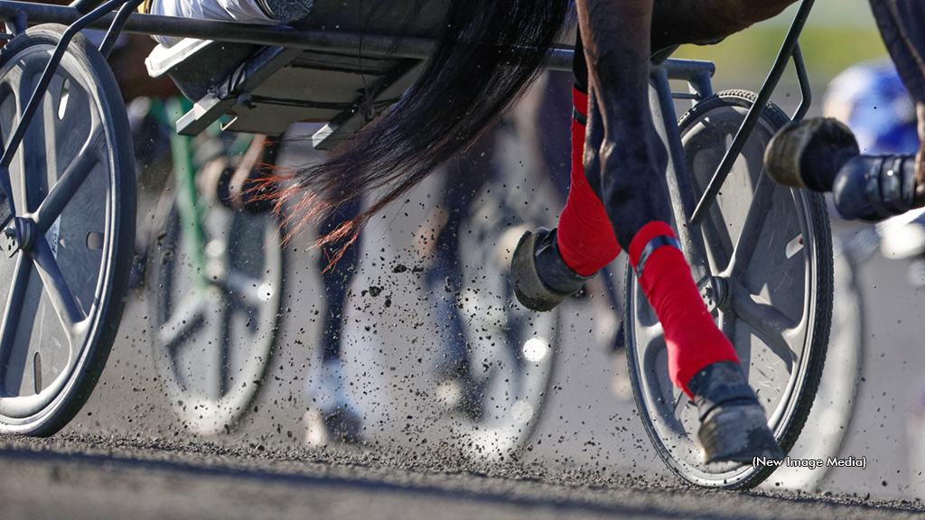 A 'Tail' Of Two Countries