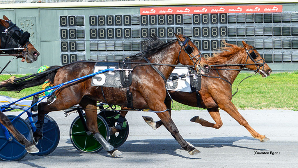 SweePea-033126-QuentonEgan-1024px