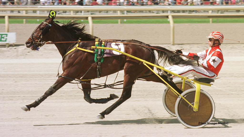 Western Dreamer Passes