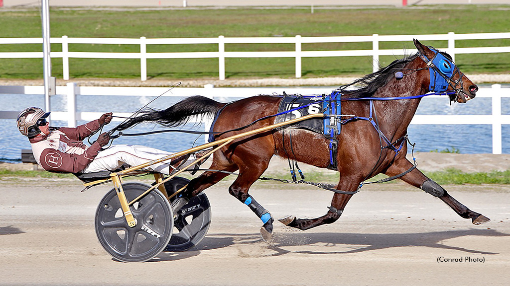 Abbey D Best In Miami Valley Open