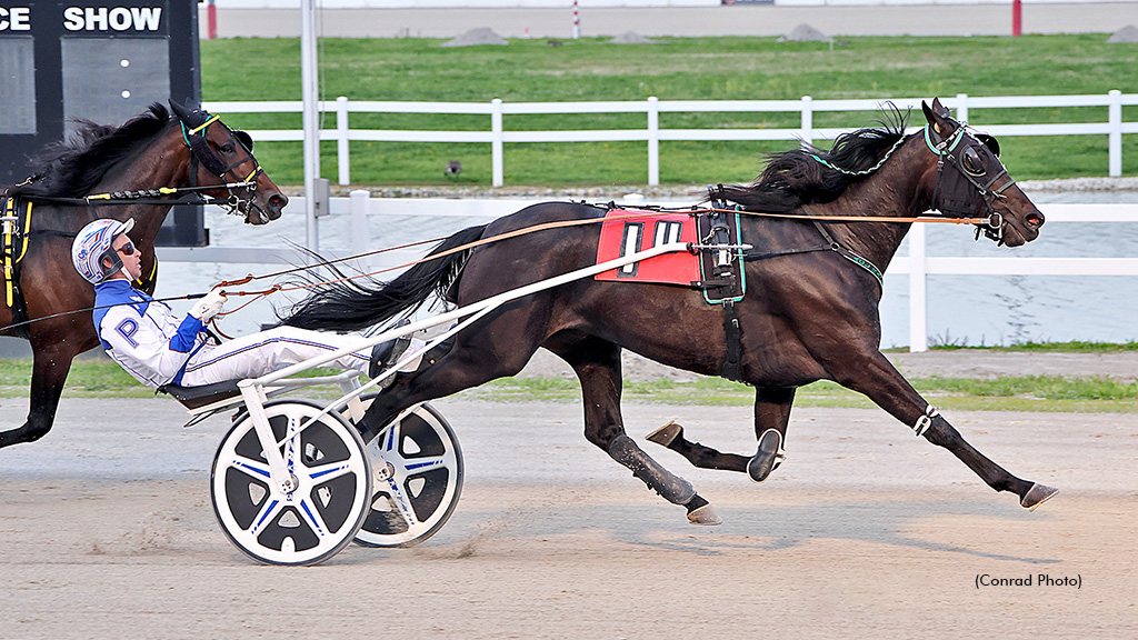 Black Velvet As Sharp In Miami Valley Feature