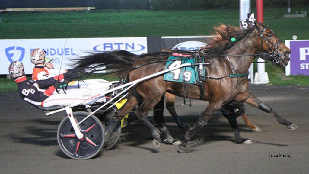 Bravo Angel S winning at The Meadowlands