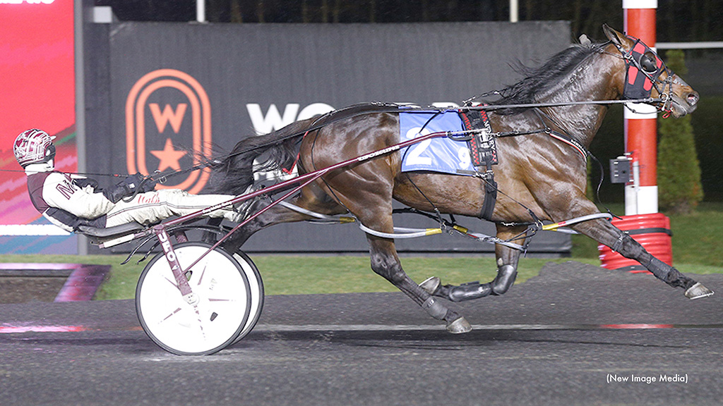 New Holland Series Finals To Bruno No No No, Mr Bluebird