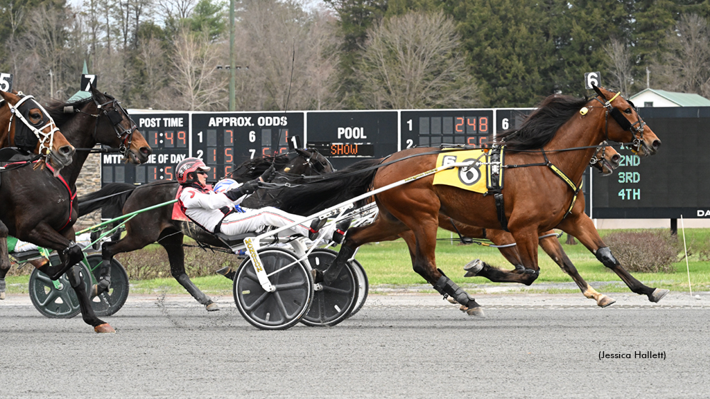 But Why winning at Saratoga Raceway