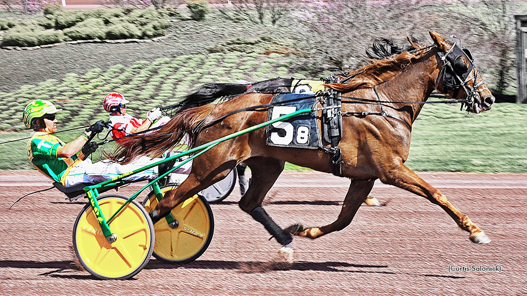 Concise, Allioop Blue Chip Repeat In Weiss Trot