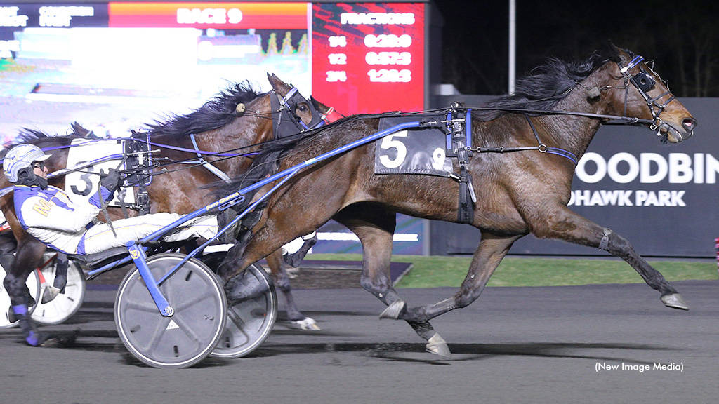 Hasty Bid Wins Open, Ghostly Casper Reaches $1 Million