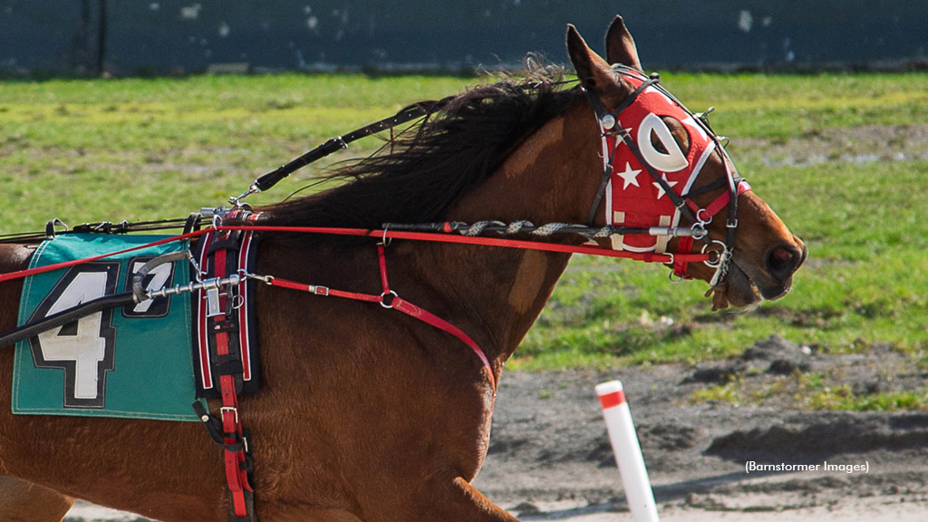 Infinity Stone winning at Buffalo Raceway