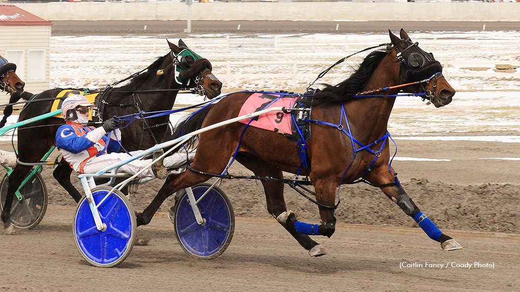 Mercedes Motors In Century Downs Preferred