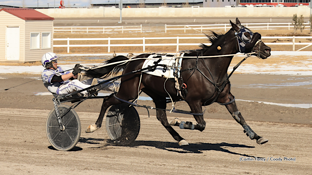 Midnight Mover Monstrous As Kanak Quadruples At Century