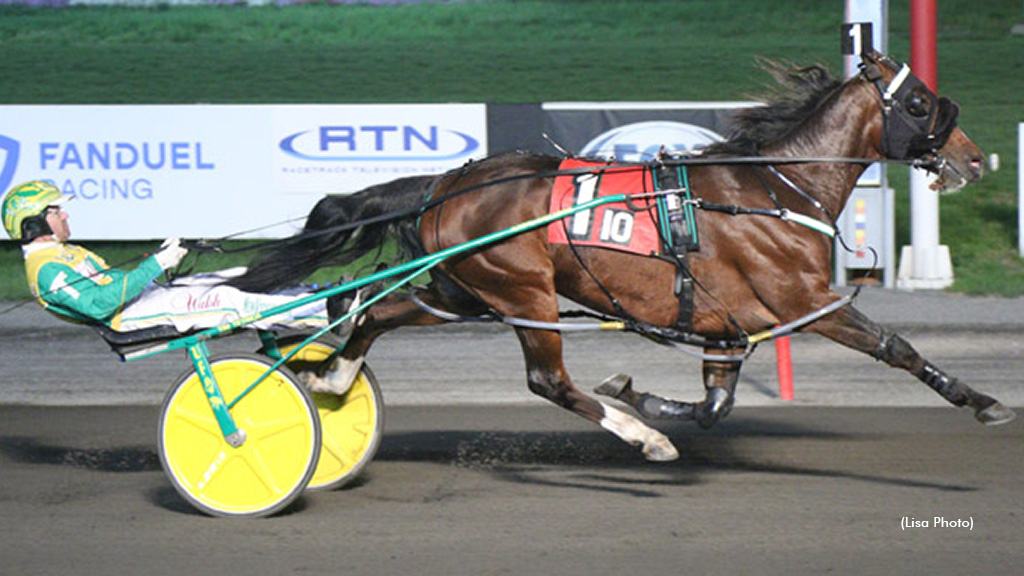 Oakwood Ardan Ir Best In Big M Feature