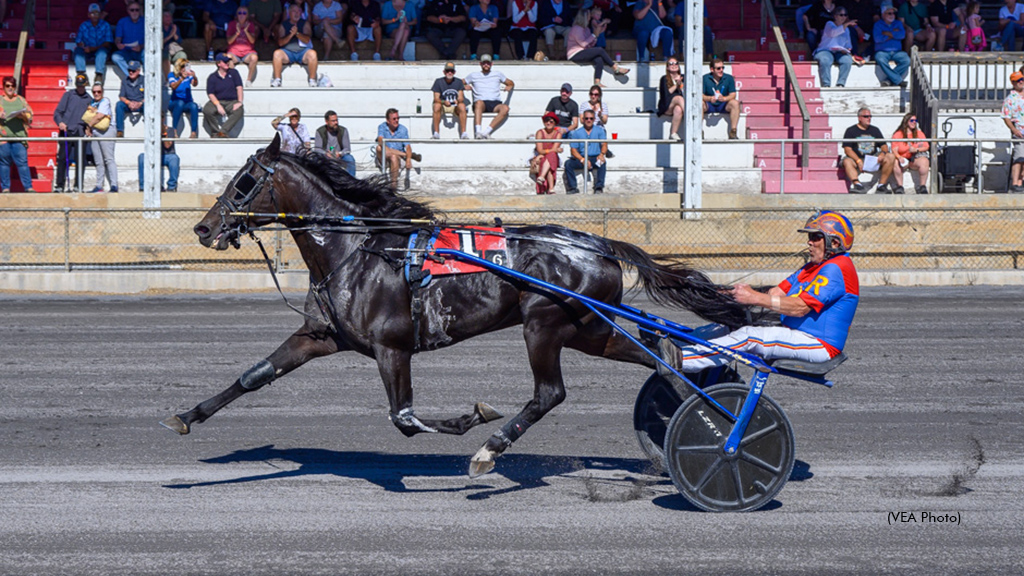 Roger Hammer winning with Battin Athousand at Shenandoah Downs in 2025