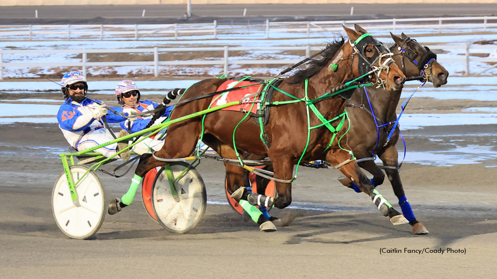 Stash The Cookies Stars In Mares Preferred