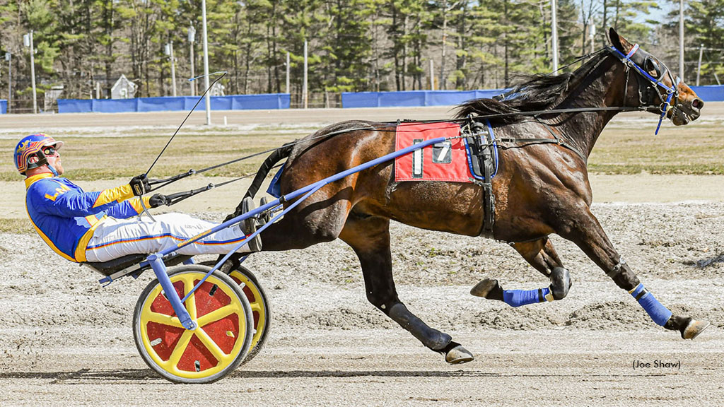 To My Credit Upsets In First Tracks Cumberland Top Trot