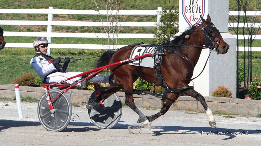 Vel Cinderella Strong In Oak Grove Feature