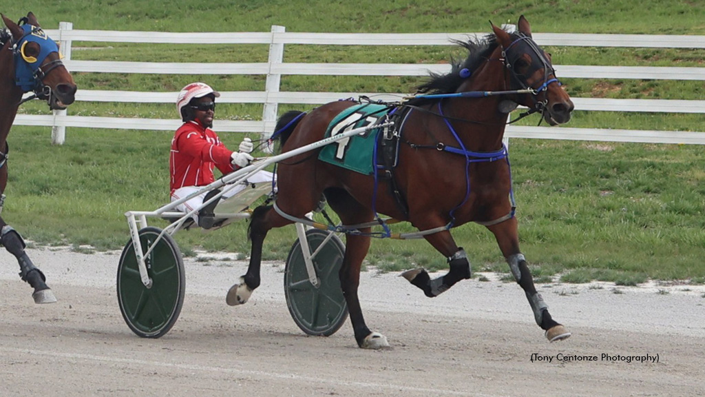 Yankee B Something Repeats In Oak Grove Mares Open