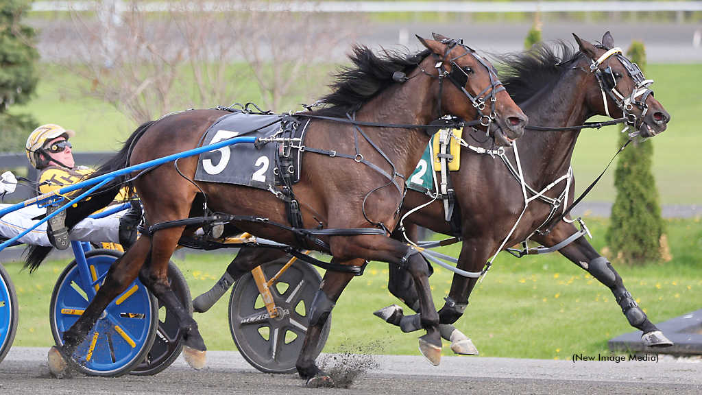 Absolution Prevails In Mohawk Mares Open