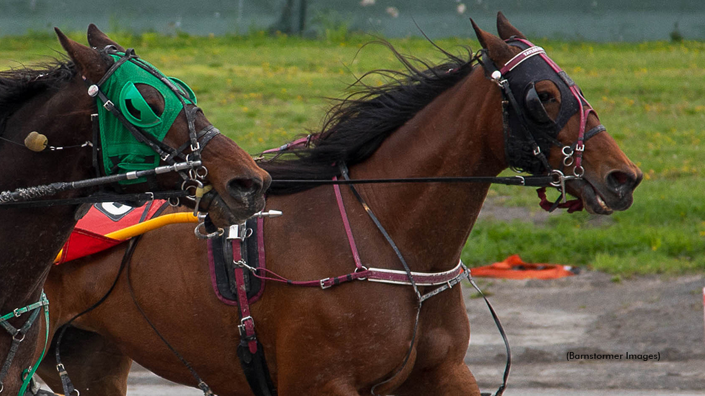 Alexas Sunshine winning at Buffalo Raceway