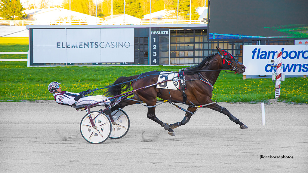 Bruno No No No Breaks Canadian Record In Juravinski Elim