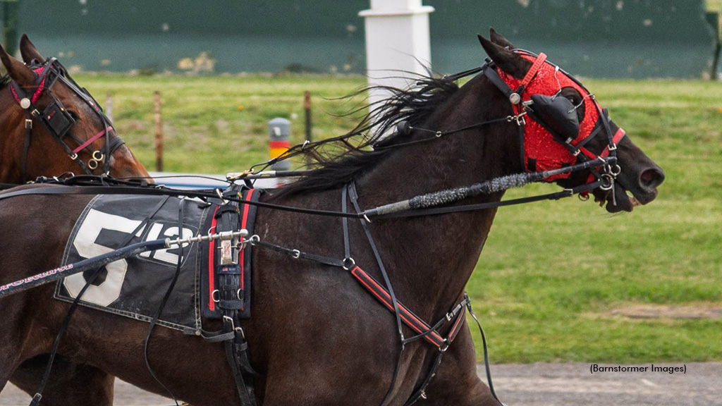 Face The Shadows Strikes In Buffalo Feature