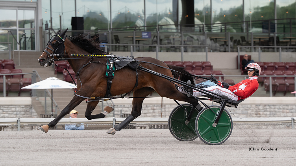 Fineline Hanover winning at The Meadows