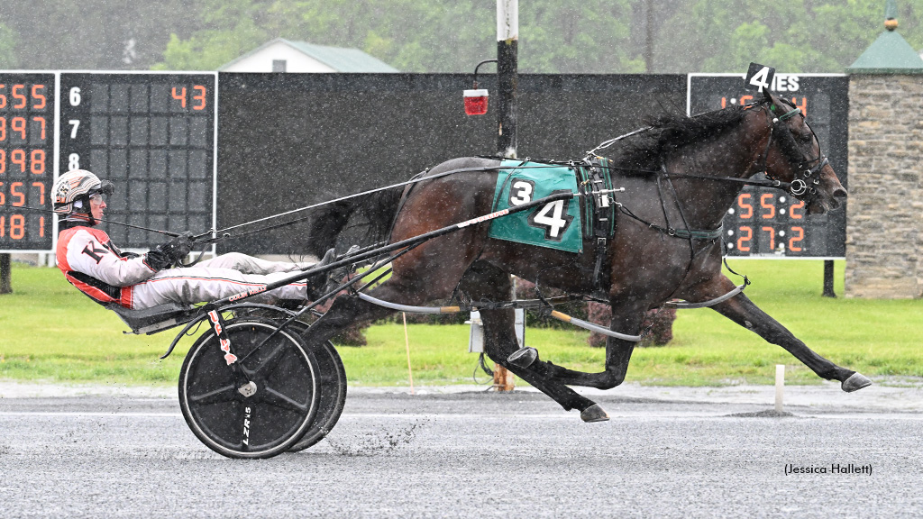 Fragment, Unmatched Wisdom Score In NYSS