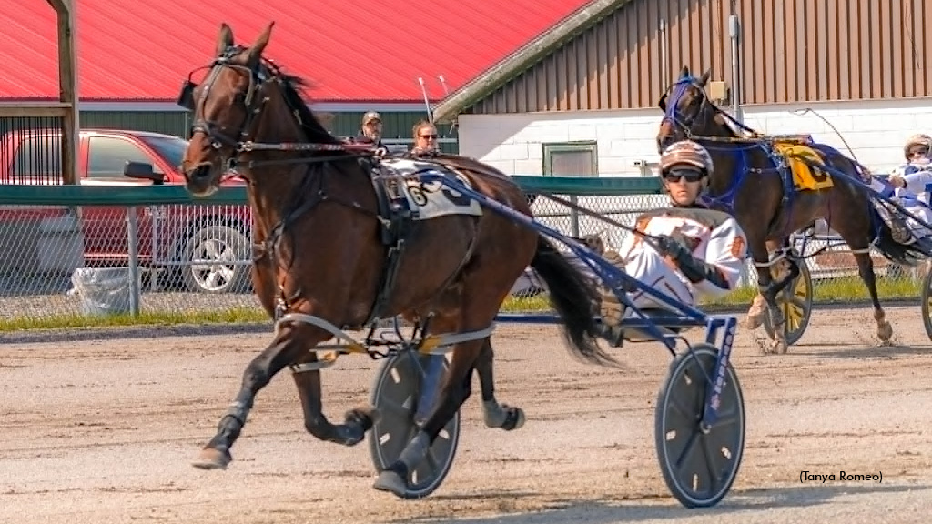 Mappos Lion Roars To Victory At Northside