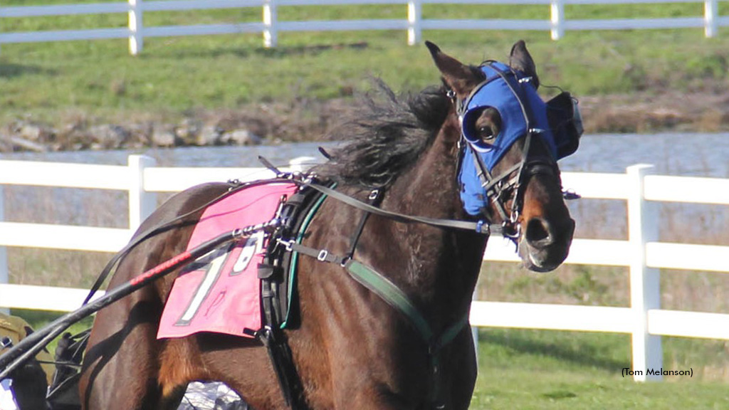 Ponda Rocky Gets The Decision In Plainridge Feature