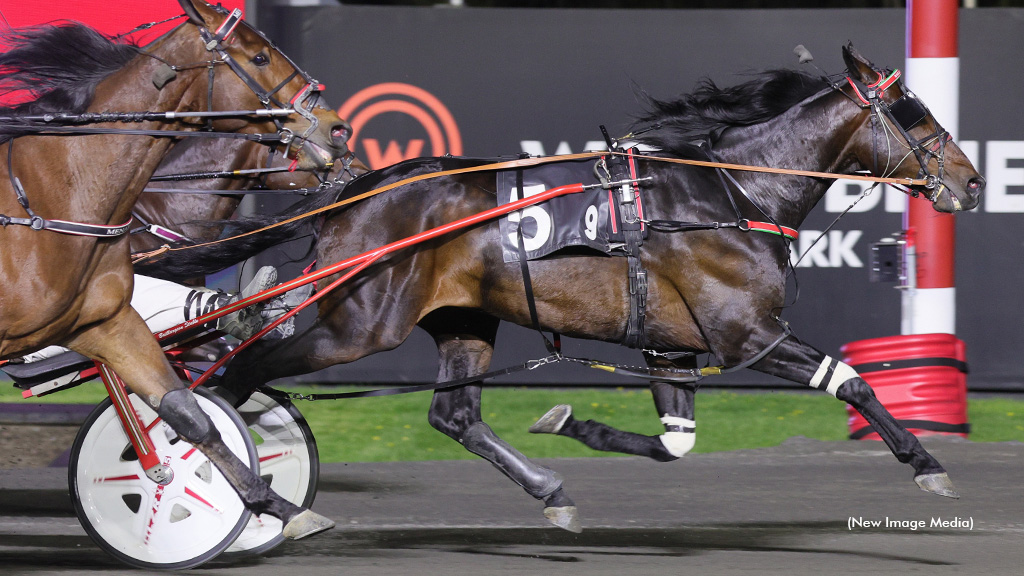 R Peaky Blinders Sharp In Mohawk Feature Trot